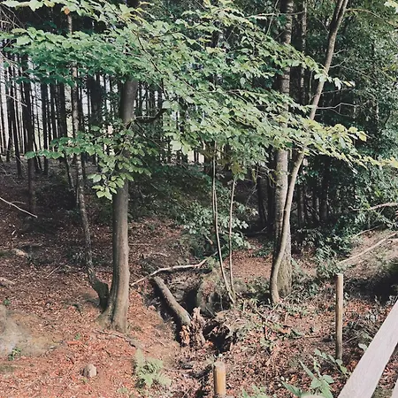 Κάμπινγκ Thak